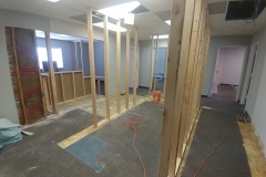 and more new walls